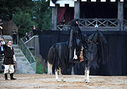 Kaltenberg 2009 (Foto: Ingrid Grossmann)